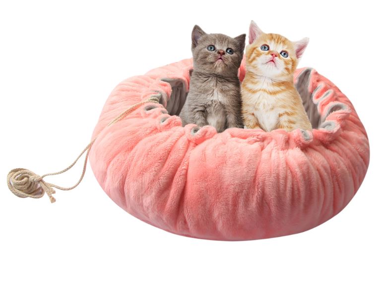 dog soft pet beds (1)